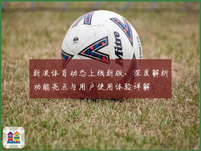 新浪体育动态上线新版，深度解析功能亮点与用户使用体验详解