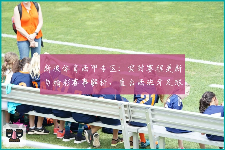 新浪体育西甲专区：实时赛程更新与精彩赛事解析，直击西班牙足球顶级联赛魅力