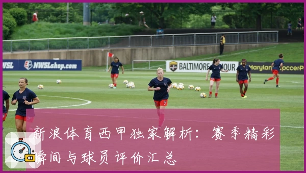 新浪体育西甲独家解析：赛季精彩瞬间与球员评价汇总