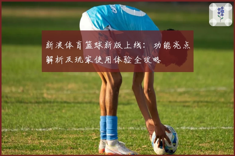 新浪体育篮球新版上线：功能亮点解析及玩家使用体验全攻略