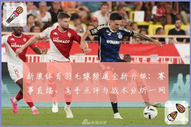 新浪体育羽毛球频道全新升级：赛事直播、高手点评与战术分析一网打尽