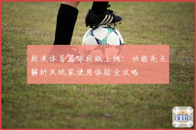 新浪体育篮球新版上线：功能亮点解析及玩家使用体验全攻略