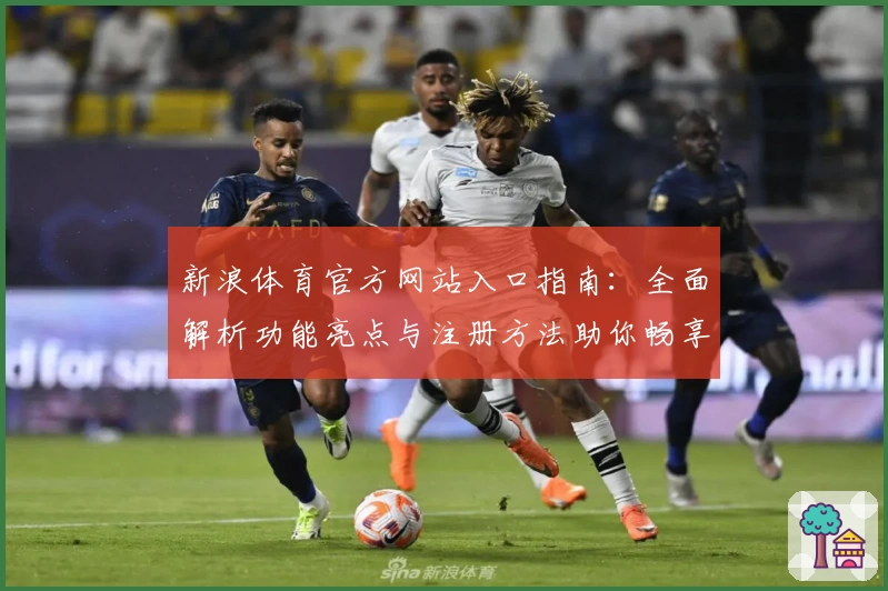 新浪体育官方网站入口指南：全面解析功能亮点与注册方法助你畅享赛事资讯