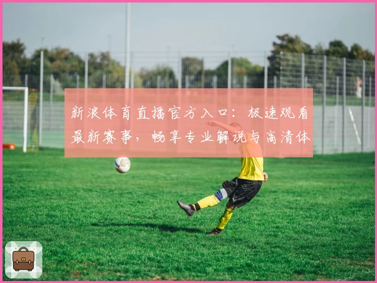 新浪体育直播官方入口：极速观看最新赛事，畅享专业解说与高清体验