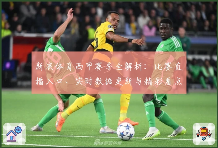 新浪体育西甲赛季全解析：比赛直播入口、实时数据更新与精彩看点汇总