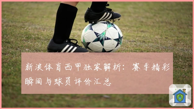 新浪体育西甲独家解析：赛季精彩瞬间与球员评价汇总