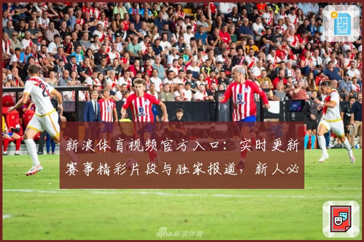 新浪体育视频官方入口：实时更新赛事精彩片段与独家报道，新人必备观看指南