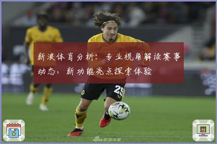 新浪体育分析：专业视角解读赛事动态，新功能亮点探索体验