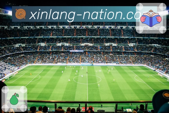 新浪体育 Sports 官方视觉图